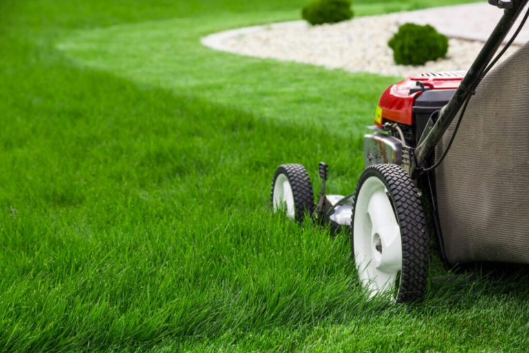 Transforming Your Landscape: Comprehensive Solutions for Outdoor Aesthetics